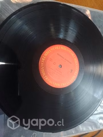 Vinilo
