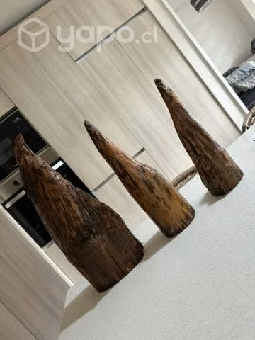 Exclusivos y únicos Picoyos decorativos