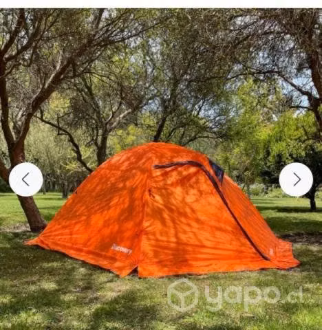 Carpa glacier IV