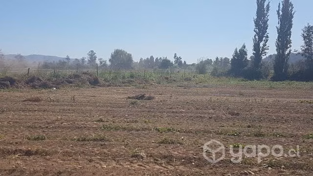 Terreno agrícola Villa Prat