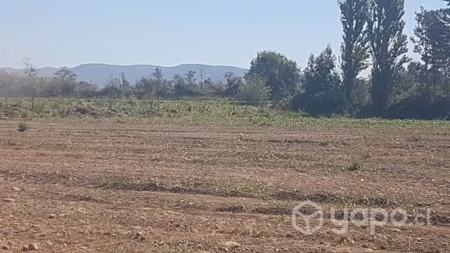 Terreno agrícola Villa Prat