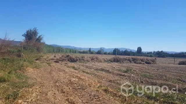 Terreno agrícola Villa Prat