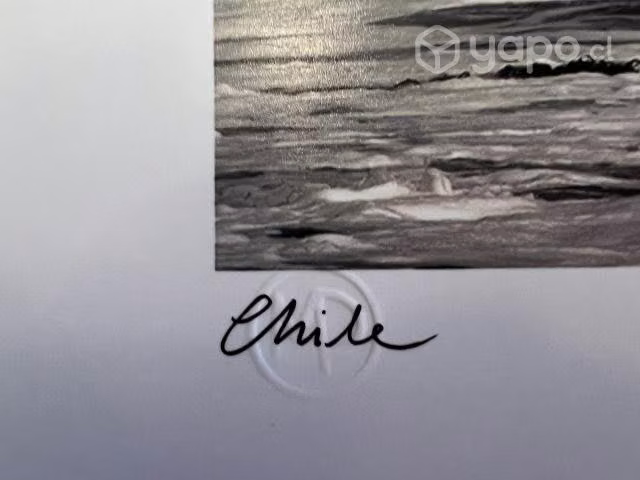 Cuadros/ fotografías profesionales con sello de ag