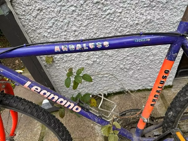 Bicicleta andaluso - Imagen 2