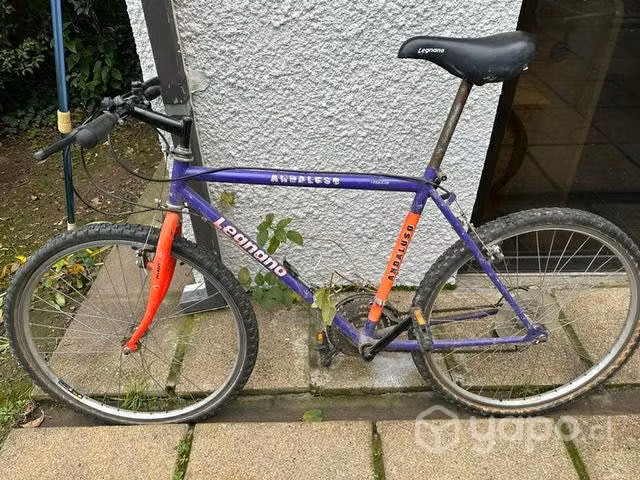 Bicicleta andaluso