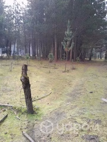 Parcela de agrado