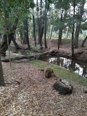Parcela de agrado