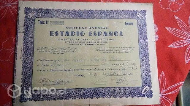Acciones fundadoras