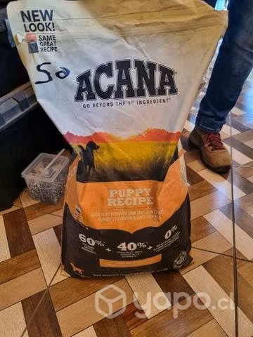 Comida de mascota