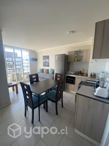 Arriendo diario departamento puertas del mar