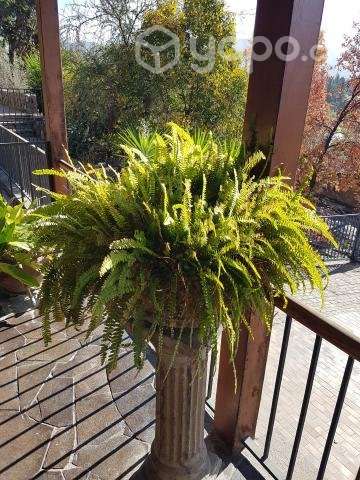 Hellechos