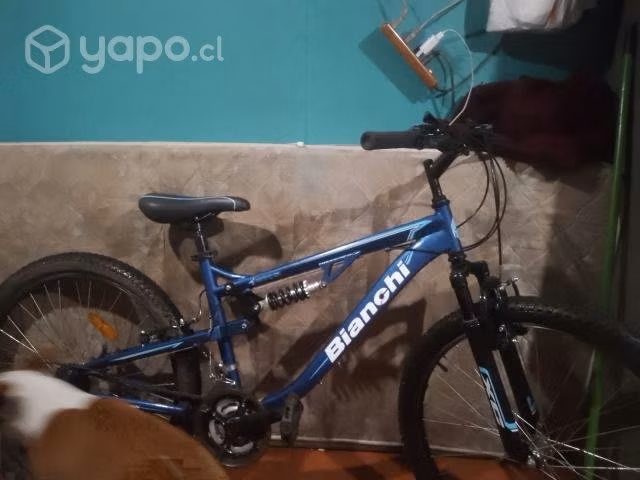 Bicicleta Bianchi pro DSX26