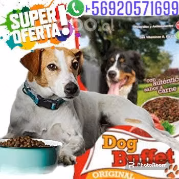 Comida para perros y gatos