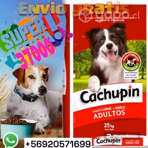 Comida para perros y gatos