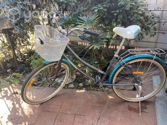 Bicicleta oxford