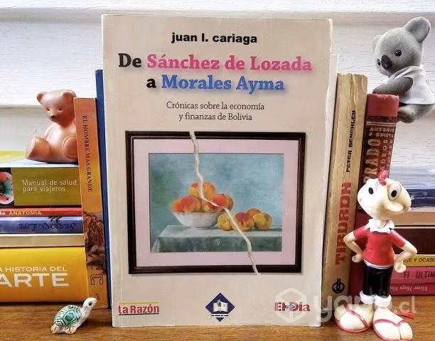 DE SÁNCHEZ DE LOZADA A MORALES AYMA / Juan Cariaga