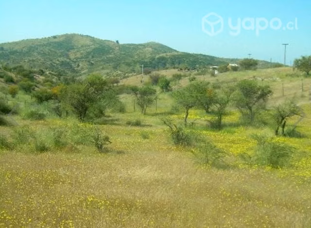 Terreno (1 ha) sector Los maitenes, Camino a Rapel - Imagen 2