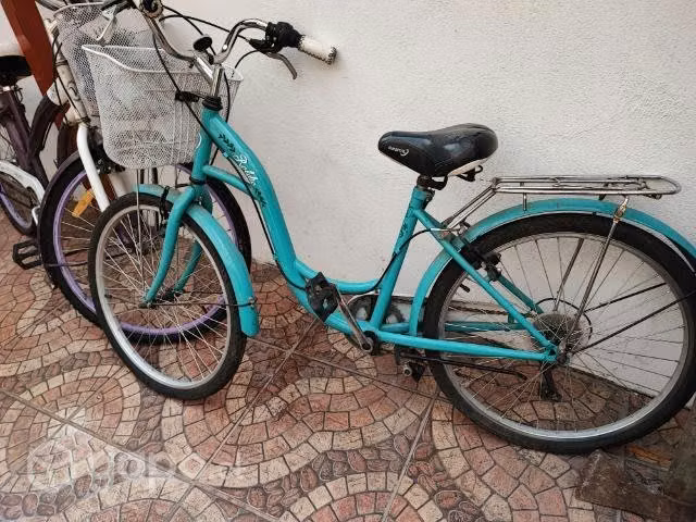 Bicicleta paseo 24