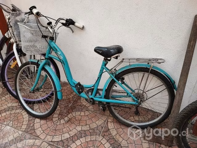 Bicicleta paseo 24
