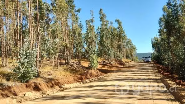 Terreno en cauquenes