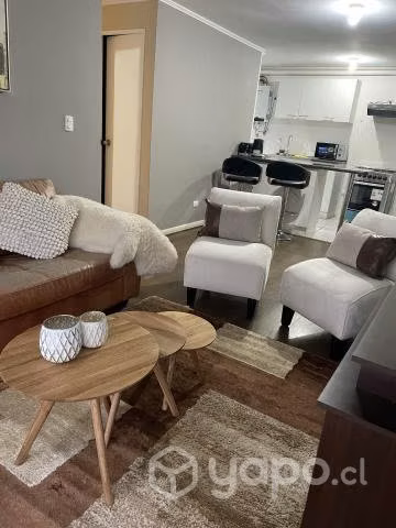 Departamento valdivia