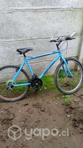 bicicleta - Imagen 6