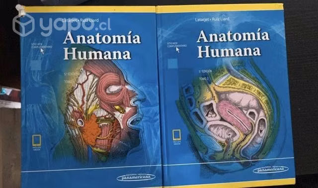 Latarjet Texto de anatomía humana 5ta edicio