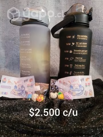 Botella agua y termo