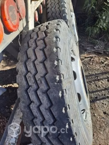 Nematicos 12R22.5