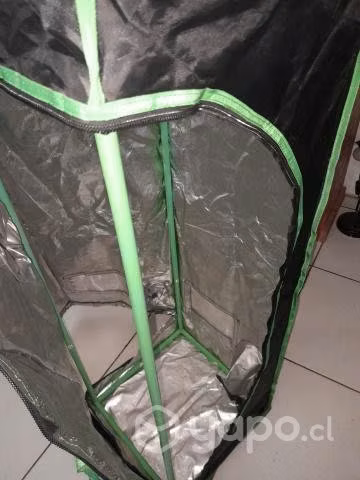 Indoor para plantar