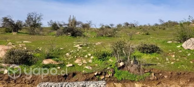 Parcela de Agrado 5000Mts Coinco