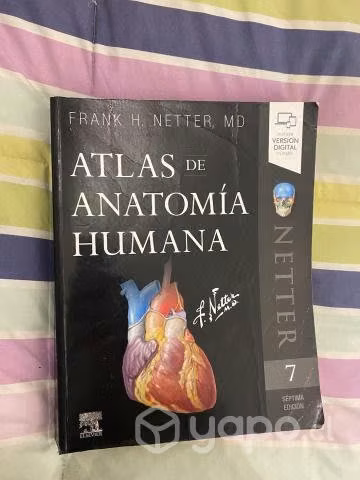 Netter atlas de anatomia humana 7ma edición