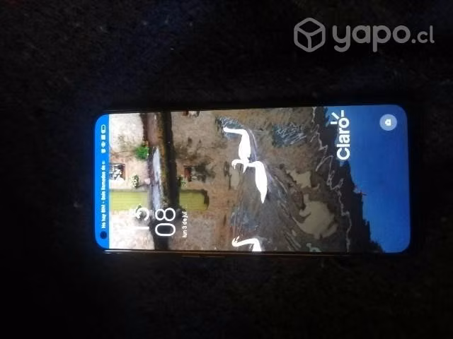 Celular