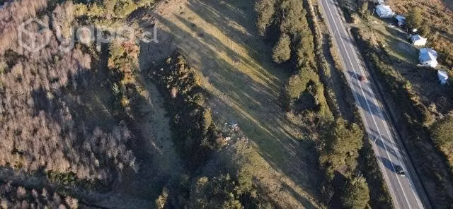 1/2 hectárea - Imagen 2