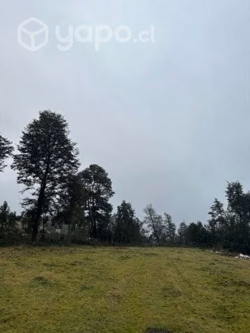 1/2 hectárea