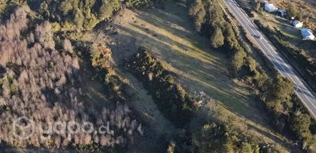 1/2 hectárea - Imagen 3