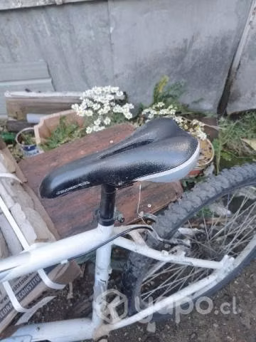 Bicicleta aro 26