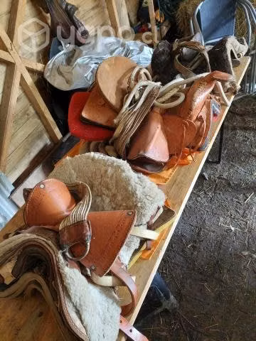Tres Monturas
