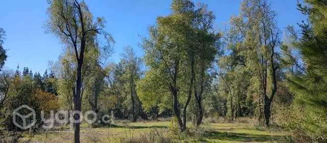 Km10 camino santa barbara