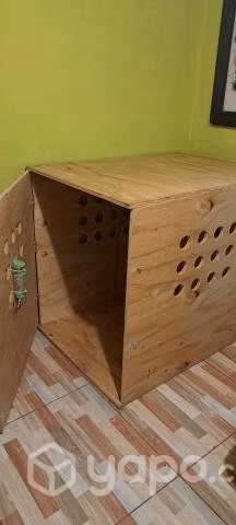 Canil madera