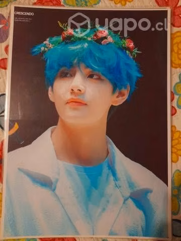 Posters termolaminados de V y Jin de BTS