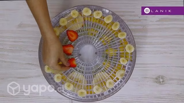 Deshidratador De Alimentos Blanik 5 niveles