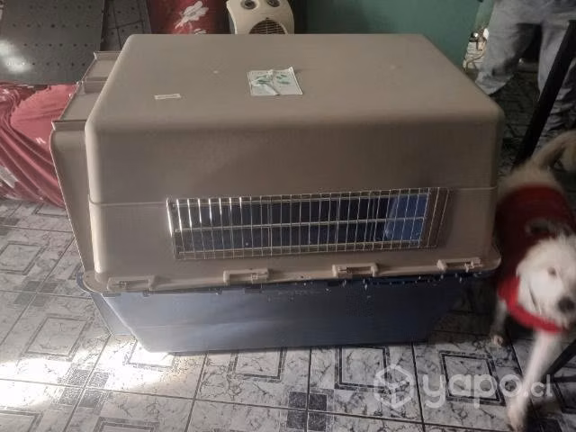 Canil xxl semi nuevo