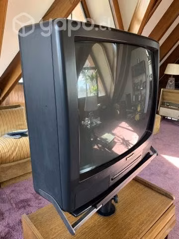 TV Panasonic 25 pulgadas y Mueble con pedestal