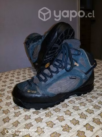 Botin lippi b-dry