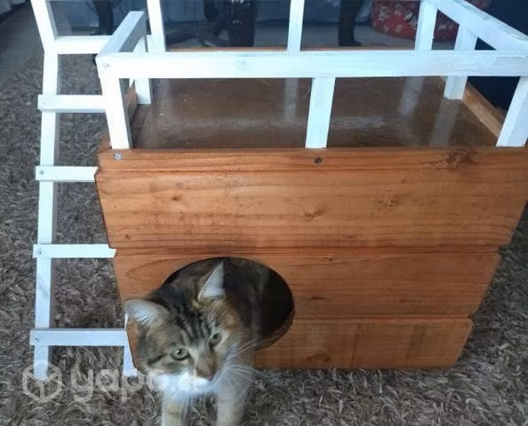 Casa para gatos artesanal