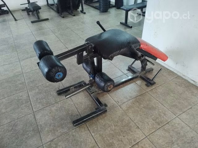 Máquina cuadricep y femoral