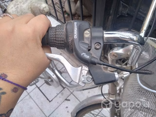 Bici oxford
