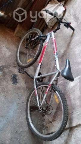 Dos bicicletas - Imagen 3