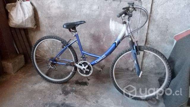 Dos bicicletas - Imagen 4